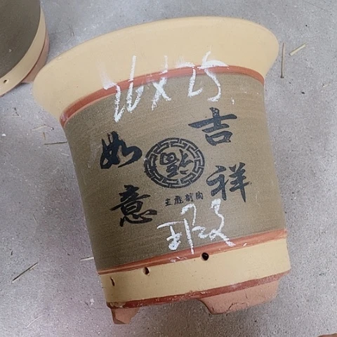 红陶110CM（含）-140CM（不含）紫砂紫砂