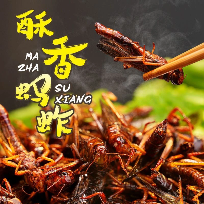 香酥新鲜油炸蚂蚱五香即食麻辣高蛋白肉类干货调味下酒菜蚱蜢昆虫