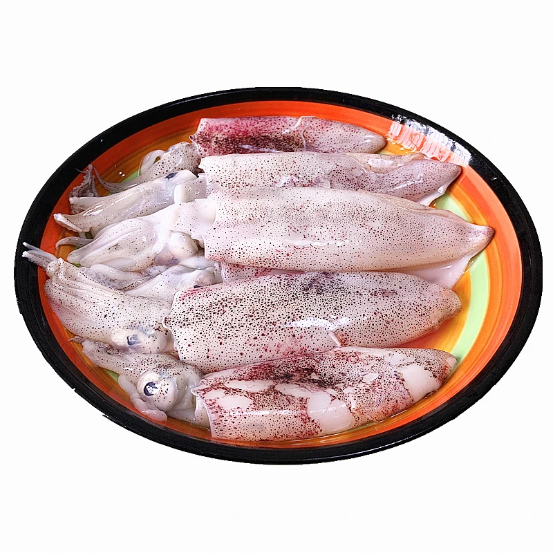 野生海捕小海兔 5斤 新鲜笔管鱼籽乌急冻锁鲜连云港发货