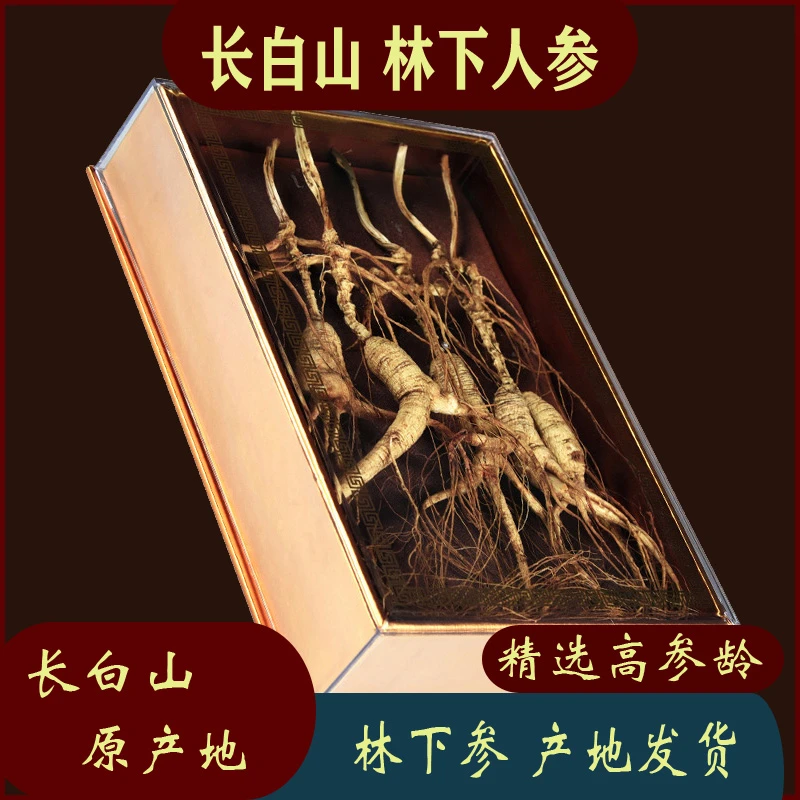 长白山林下人参 高参龄林下人参 人参产地直发 备注免费打粉