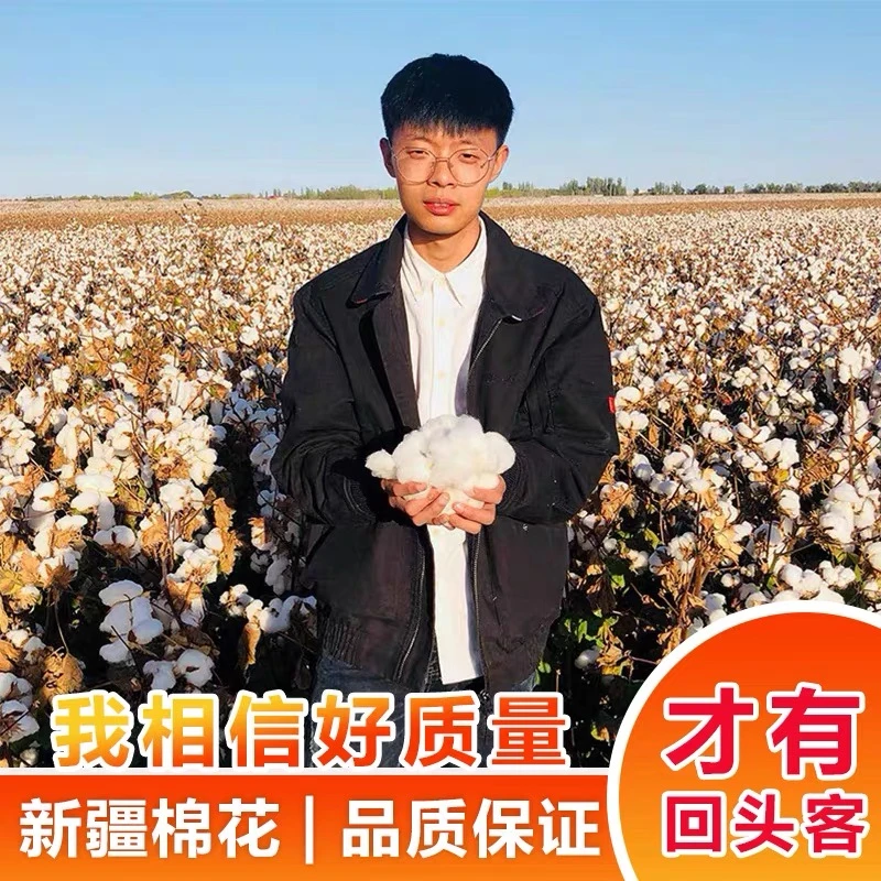 新疆正宗优质棉花 一级棉花卷 手采棉 精梳棉 里外全棉