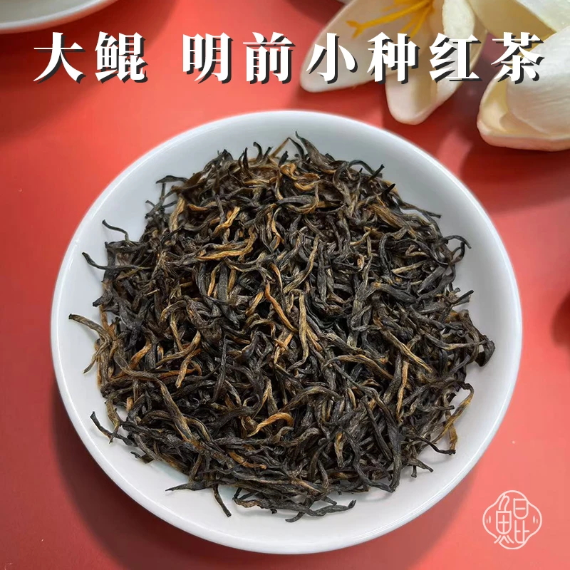 大鲲四川明前小种梅占红茶雅安蒙顶山花果香