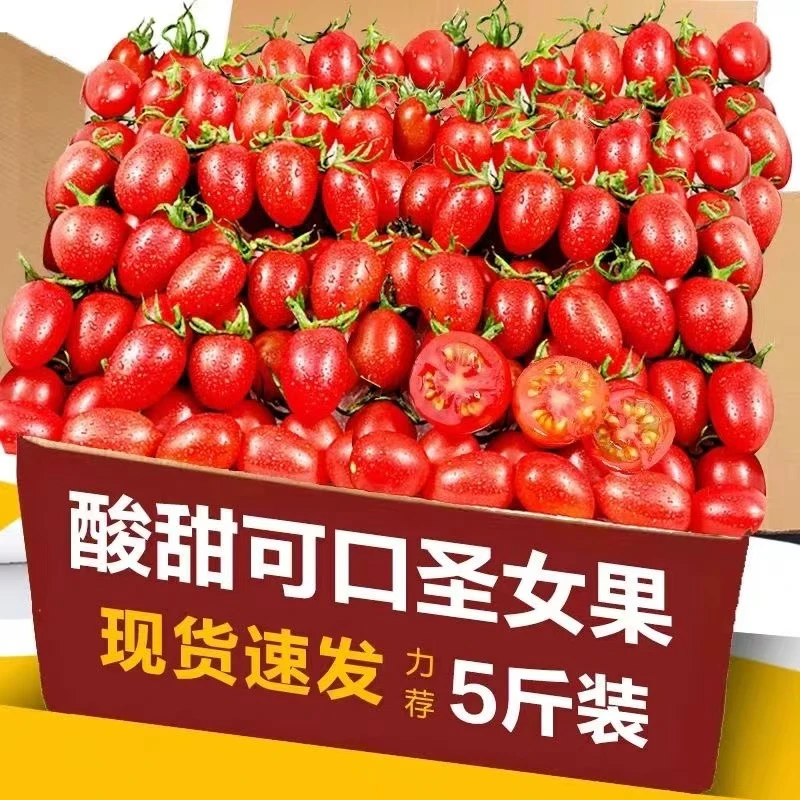 广西百色圣女果新鲜番茄现摘樱桃非千禧西红柿孕妇柿子整箱水果