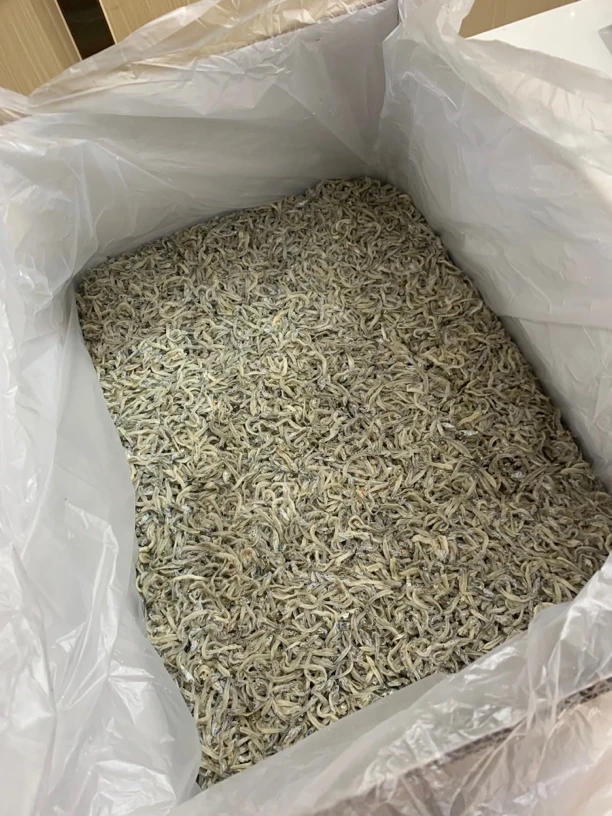 淡干银鱼干