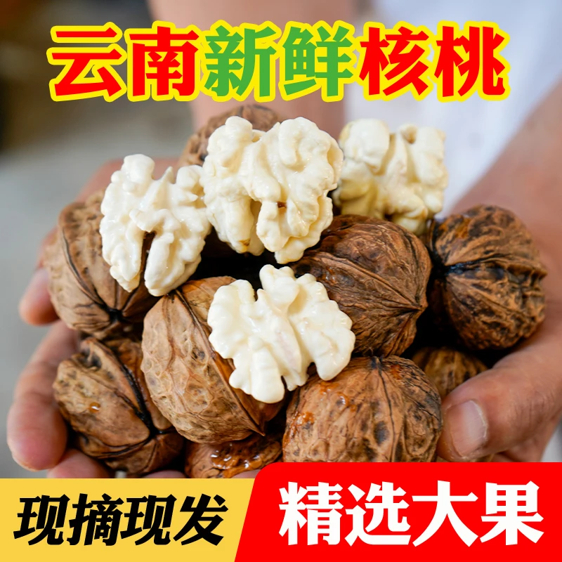 2024年云南老树鲜核桃1/3/5斤湿核桃新鲜孕妈妈当季水果现摘