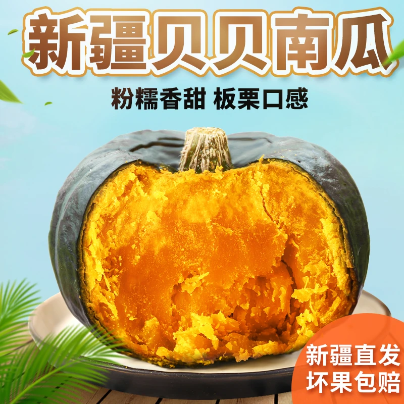 新疆特产 贝贝南瓜新鲜采摘蔬菜粉糯沙甜板栗口感宝宝辅食5斤整箱