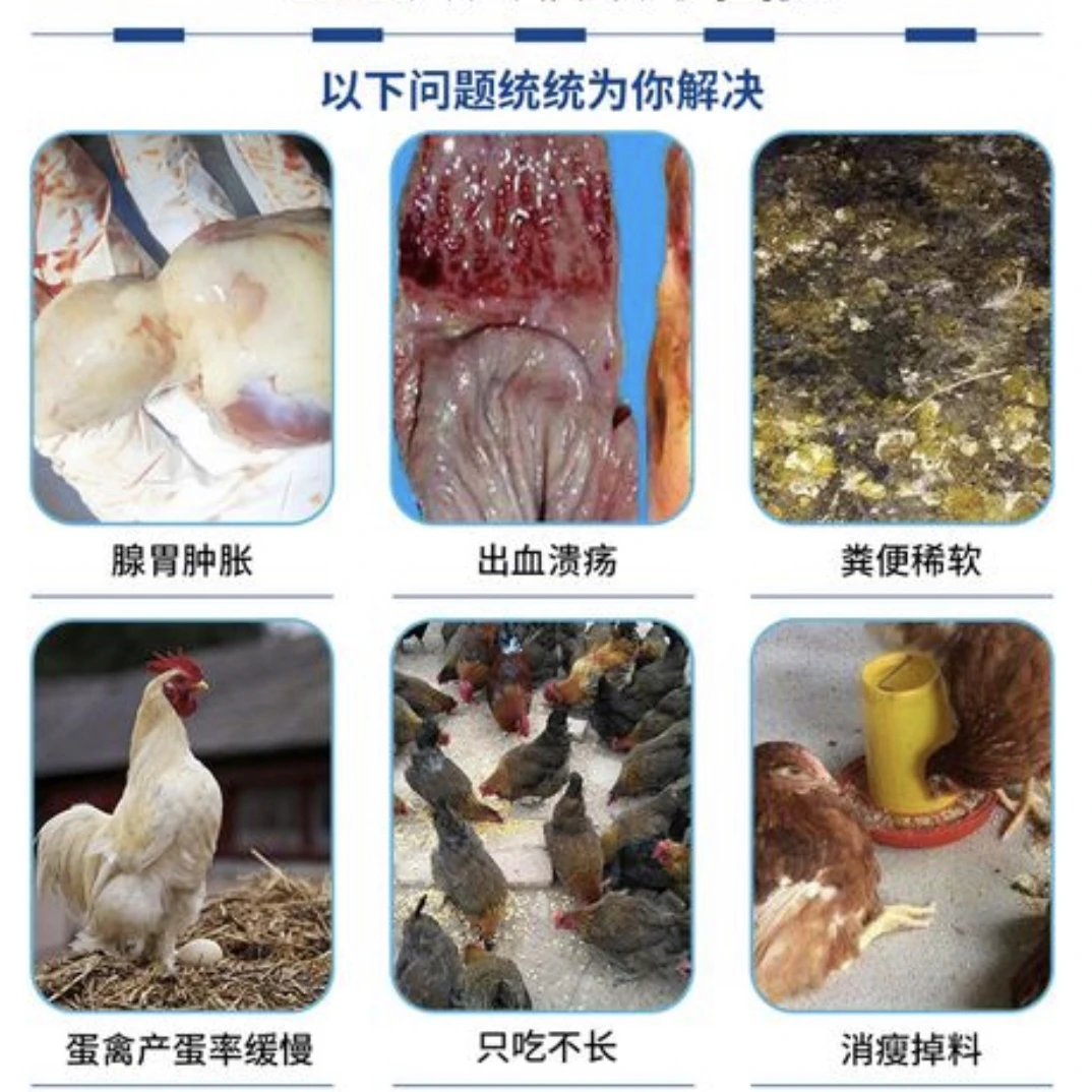 痢杆腺影  腺肌胃炎 腺胃健康 过料 饲料便 长势不均高效调理