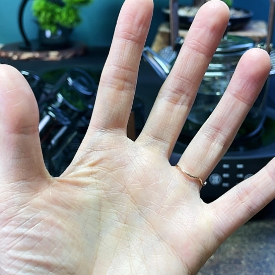 【闪购商品】高硼硅玻璃李*