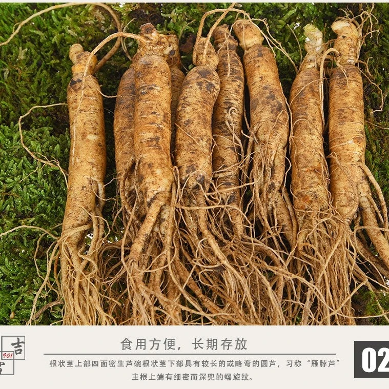 长白山新鲜人参各种规格每棵35-50-75-125克左右