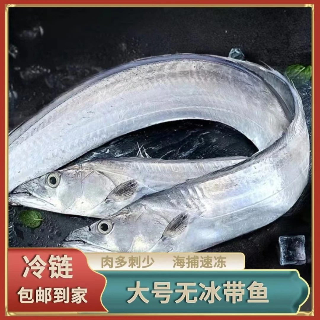 【顺丰包邮】新鲜速冻野生整条精品海捕钓带带鱼5斤（约12-13条）