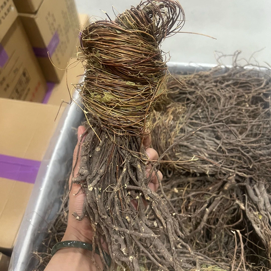 书荷姑娘鸡骨草250g 茶带叶藤大黄草草藤带叶子新鲜无硫甄选产地