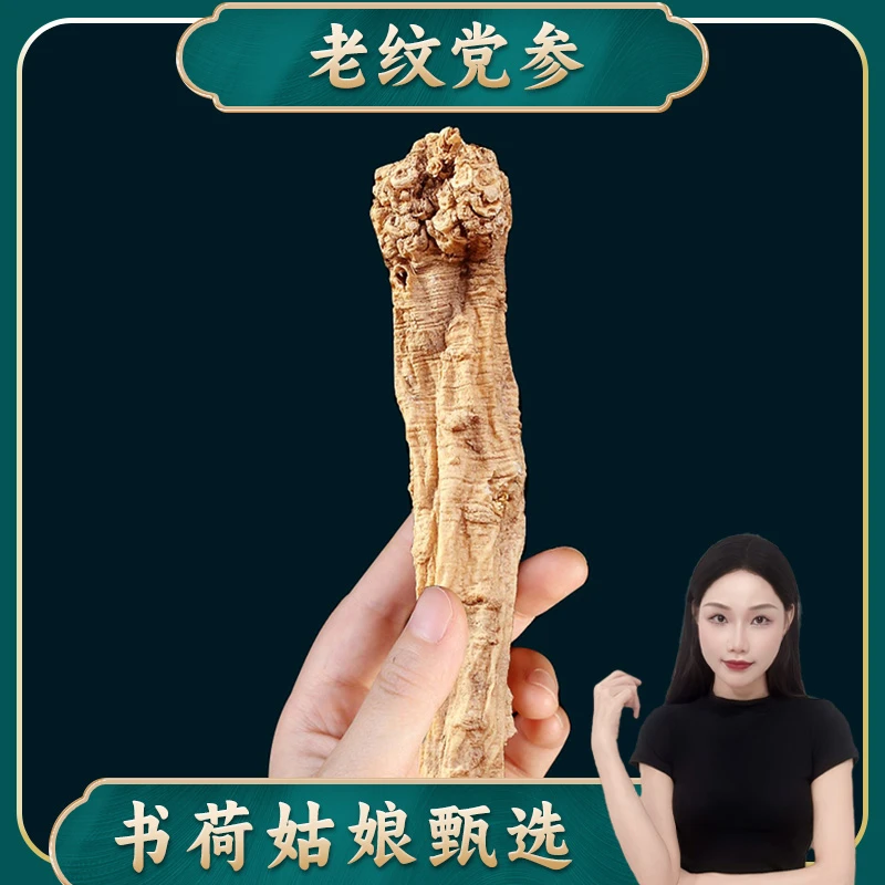 精选老纹党参干货大条党叁段甘肃当参黄芪当归泡水百干