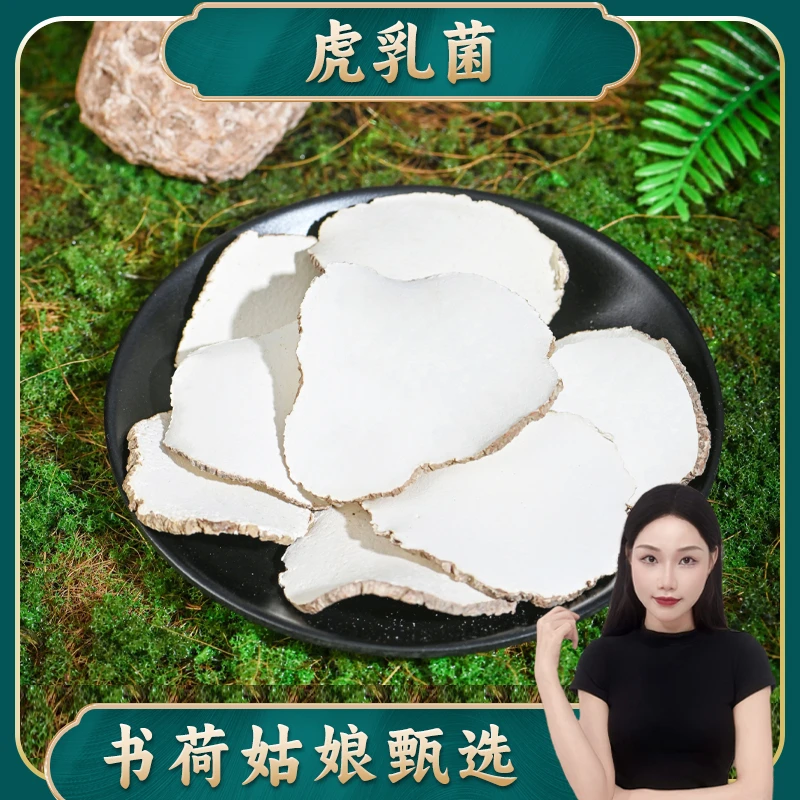 书荷姑娘虎乳菌250g/500g 精选大片马来虎乳菌代打粉 清润 百干