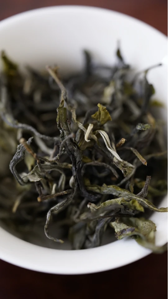 【倚邦大黑山脚古树头春2023】普洱茶散茶50g