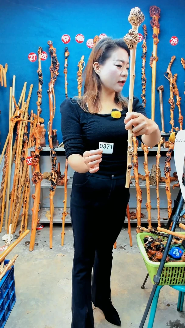 【闪购商品】密胺黑果木0371
