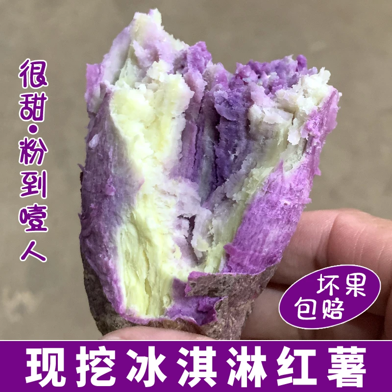 正宗网红冰淇淋番薯新鲜沙地种植香甜粉糯沙地农家自种坏果包赔