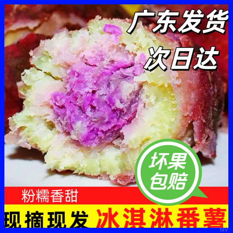 沿海沙地种植冰淇淋红薯一点红番薯紫薯不粉包赔坏果包赔饱腹感强