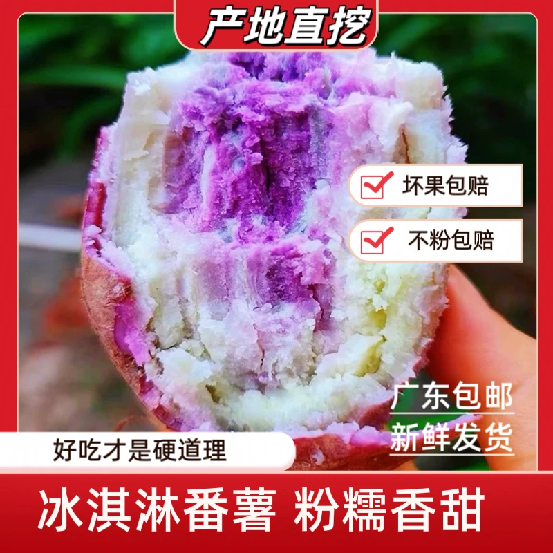 新鲜红薯一点红番薯紫薯冰淇淋现挖农家自种不粉包赔粉糯香糯