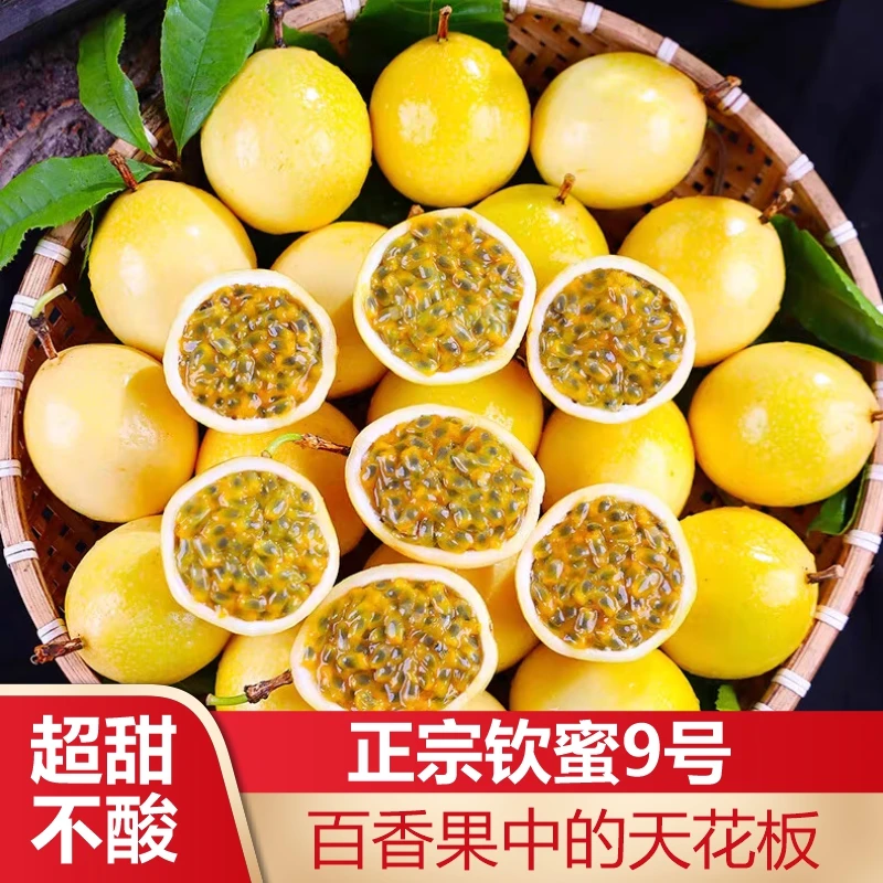 【正宗钦蜜9号百香果】黄金百香果新鲜水果当季普邮香甜多汁