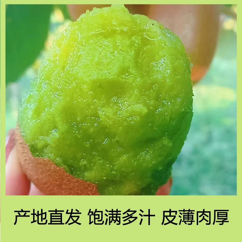 陕西徐香猕猴桃（软糯清甜）10斤装