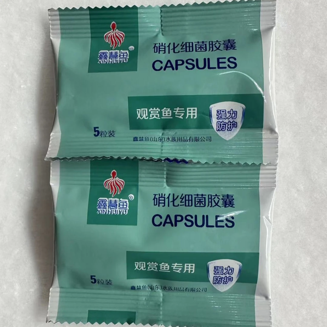 硝化细菌胶囊 净水培菌休眠菌养鱼必备
