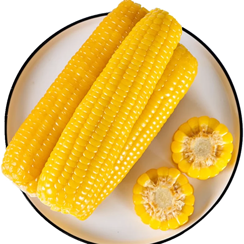 蒙小玉25年新玉米内蒙古黄糯苞米真空包装粗粮代餐低脂黄粘玉米
