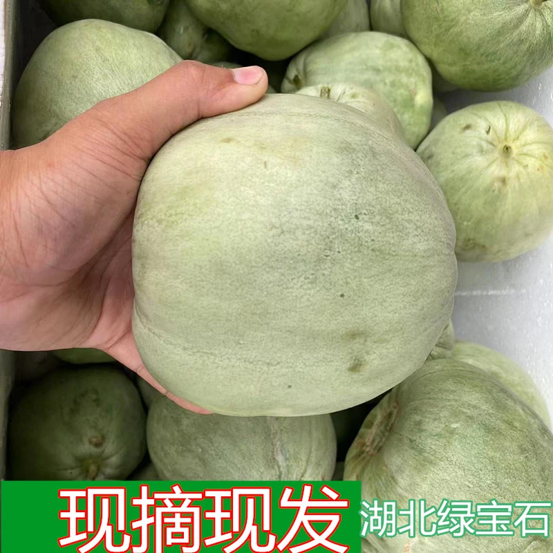 绿宝石甜瓜现摘现发5斤包邮小时候味道孕妇水果绿皮绿肉香瓜