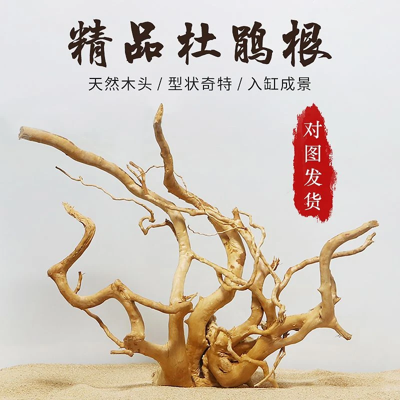杜鹃根枝条莫斯树成品树形免煮沉木鱼缸水族箱造景小沉木枝条栖根