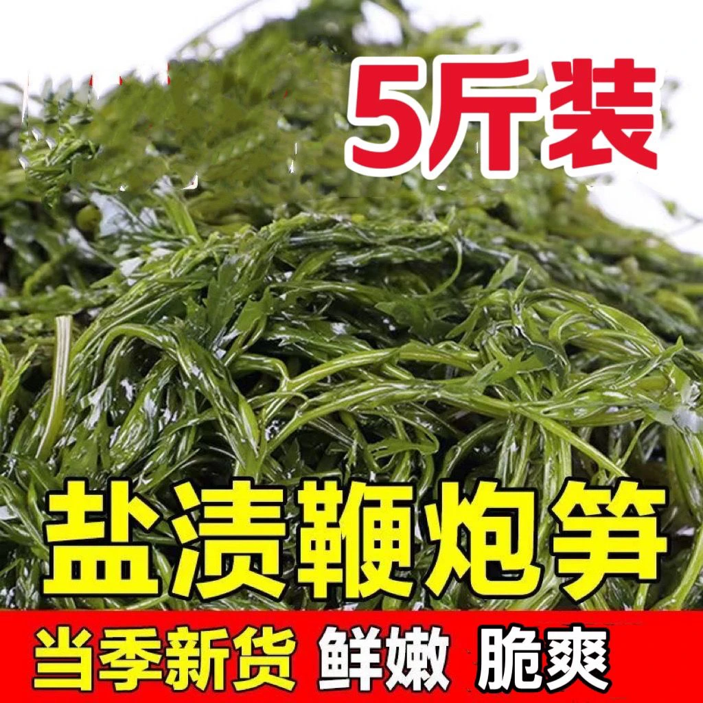 鞭炮笋盐渍马尾藻5斤长寿菜龙须菜海草羊栖菜海藻火锅凉拌菜食材
