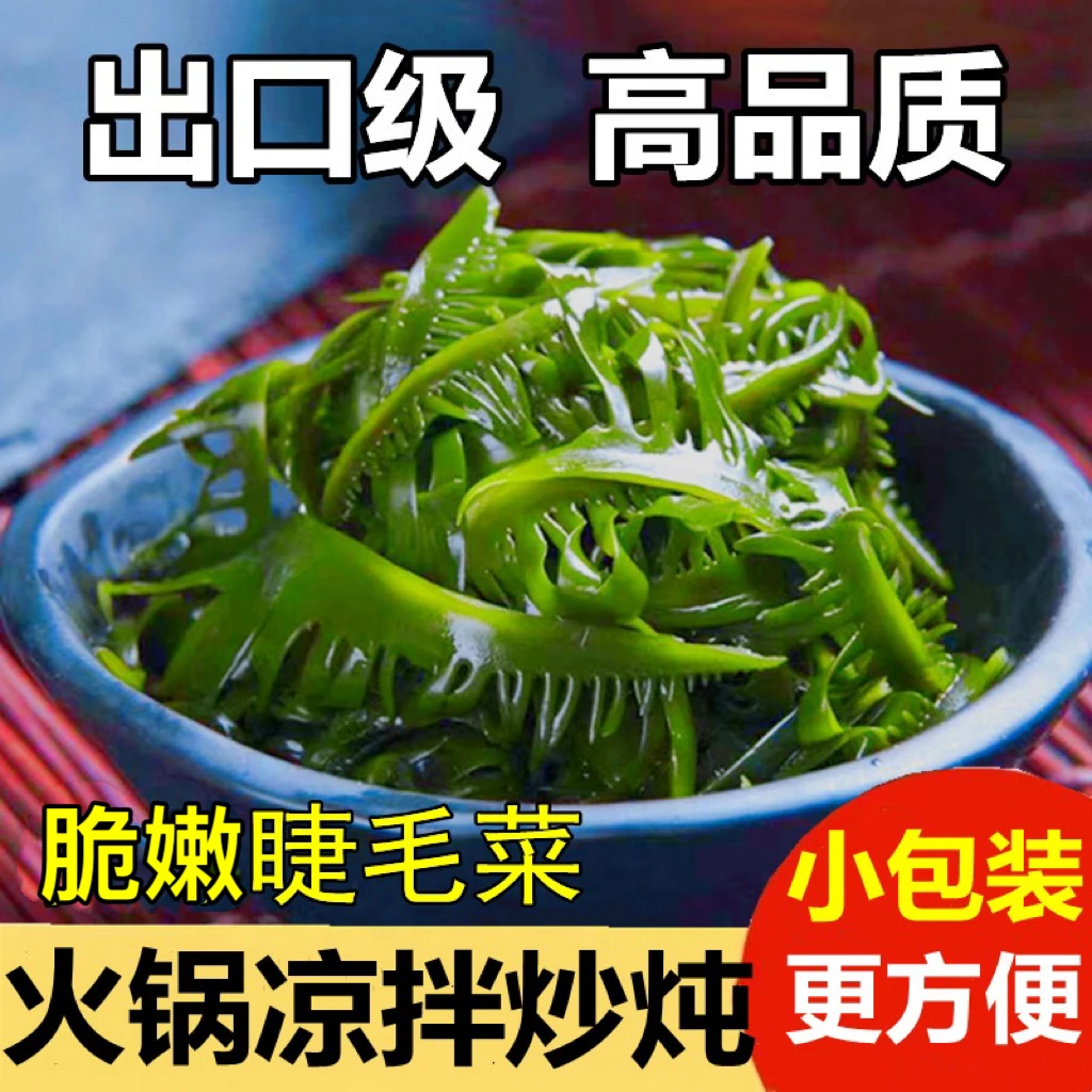 睫毛菜盐渍海芽菜0脂火锅凉拌海带芽裙带菜嫩芽眉芽菜海藻芽