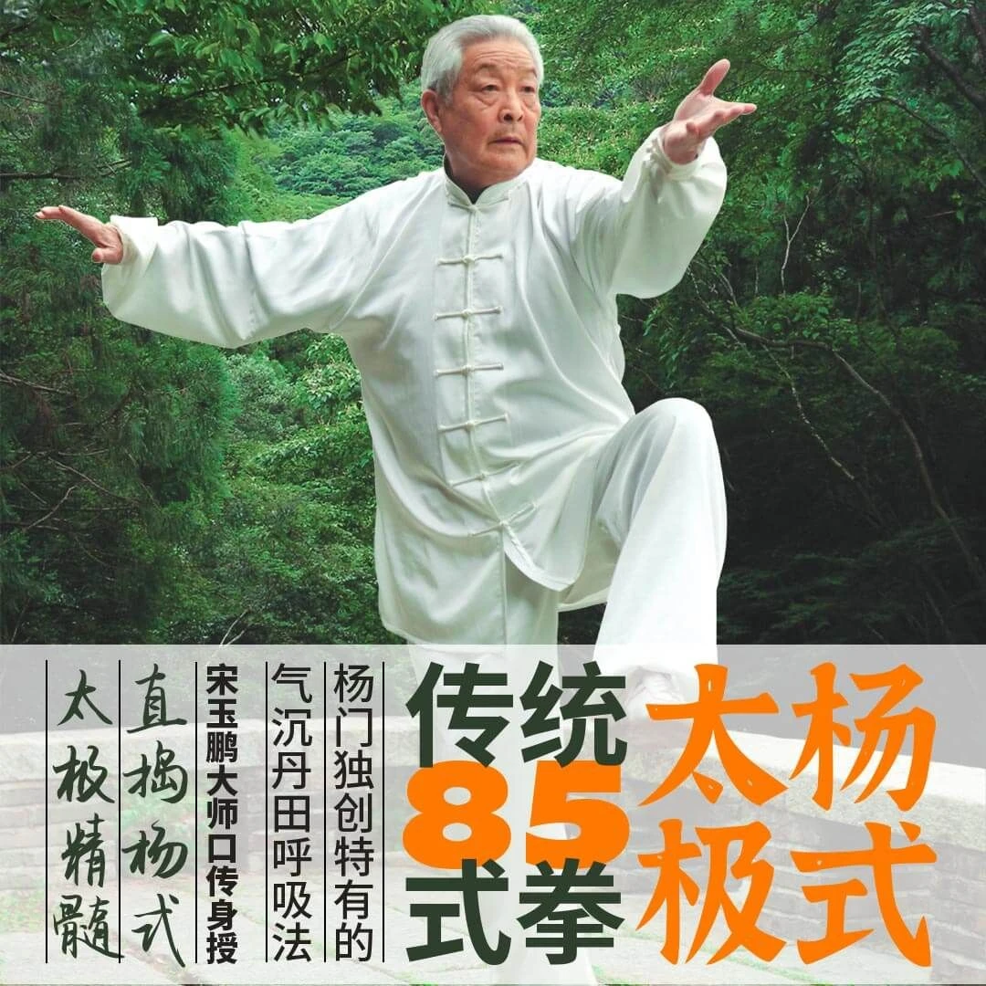 杨式太极传统85式拳杨氏杨露禅太极名师教学入门到精通健身武术课