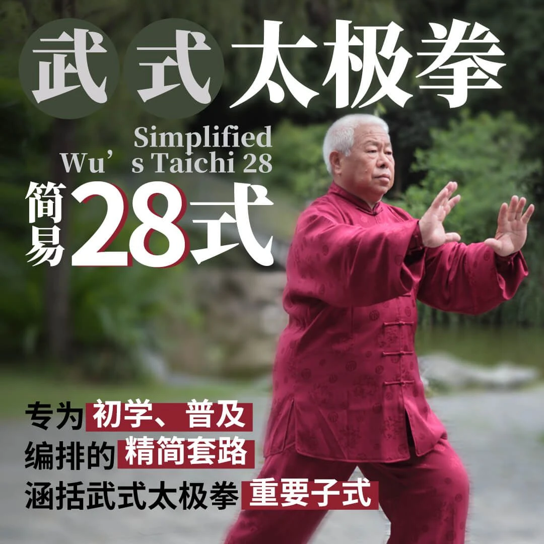 武式太极拳简易28式全套自学教程零基础新手到精通武术健身功夫