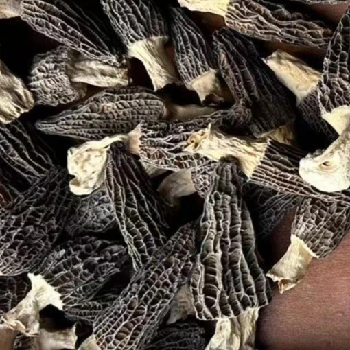 高山种植羊肚菌50g干货