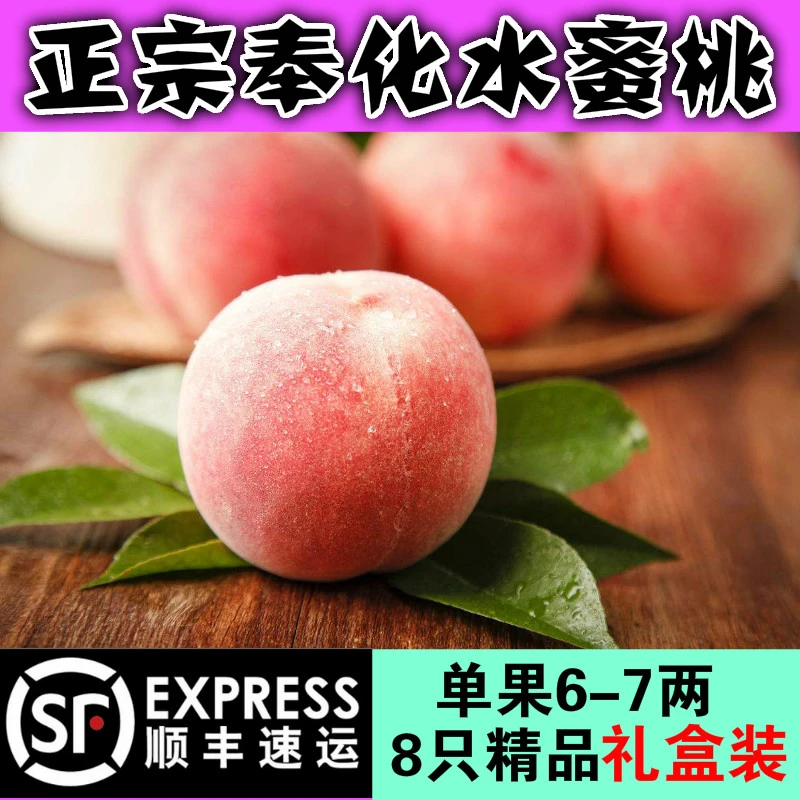 奉化水蜜桃6-7两桃王礼盒装