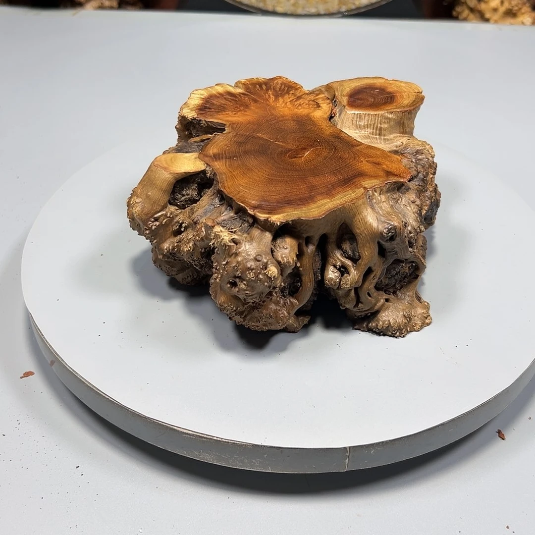 大果紫檀（缅甸花梨）自***@