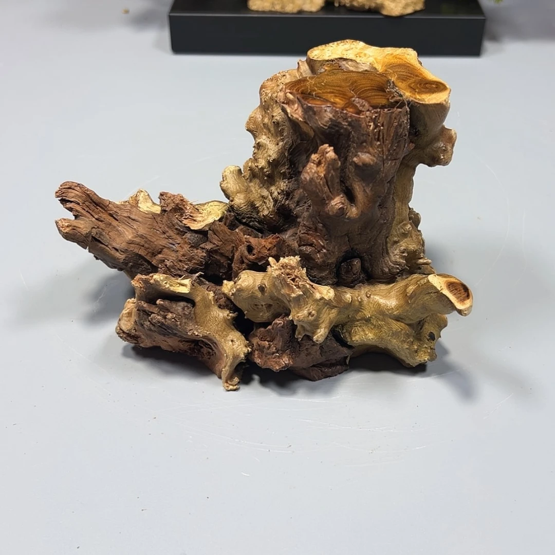 【闪购商品】麻梨疙瘩根雕古**人