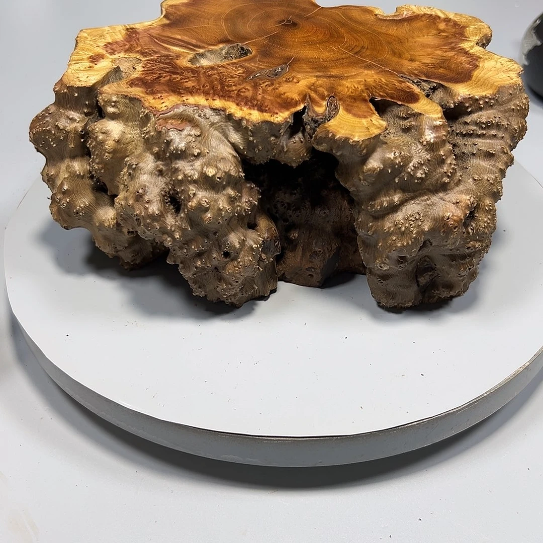 大果紫檀（缅甸花梨）红****8