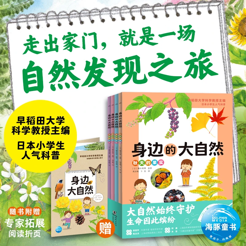 身边的大自然全4册7-9岁小学生观察自然好奇心培养动手能力图画书