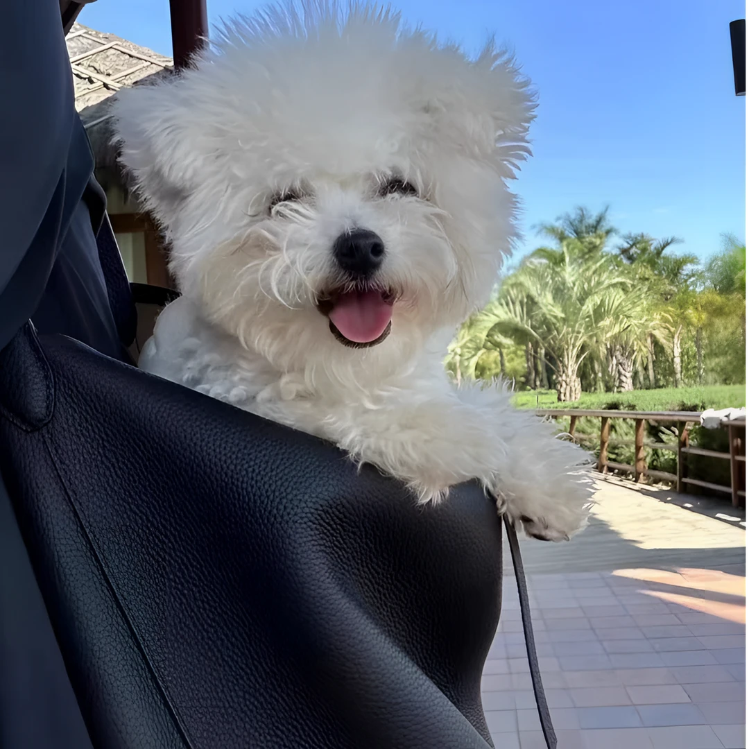 ROW水桶包 头层牛皮大容量气质高定女士包包 巨能装