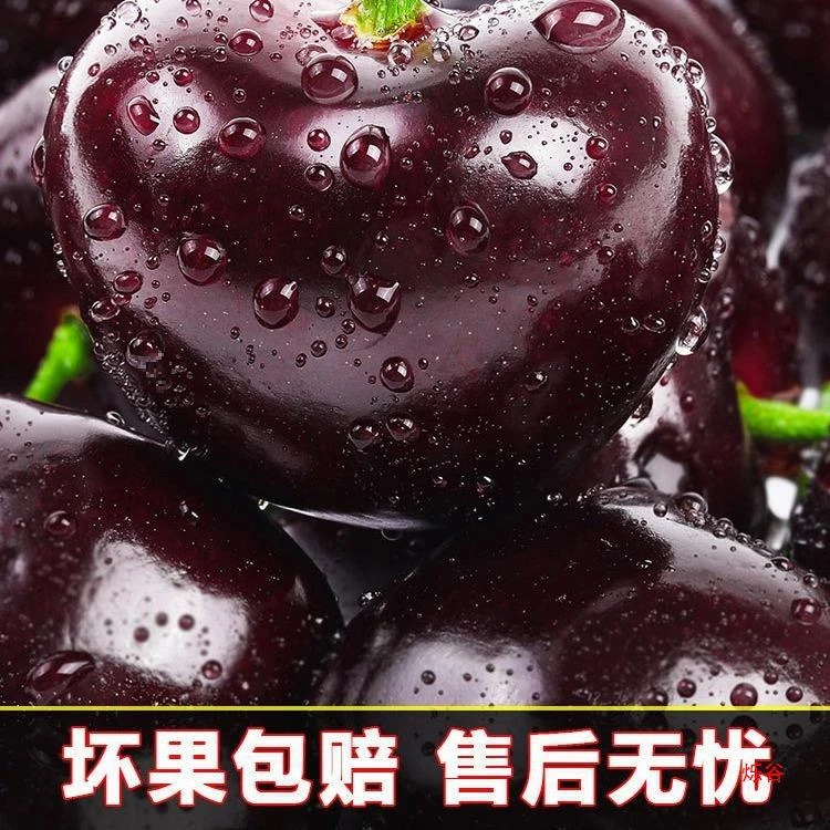 【果园直销】顺丰京东发货甘肃天水30mm以上大樱桃新鲜甜美天然成
