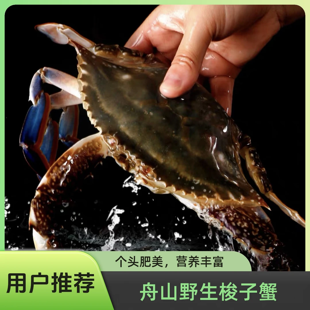 【一级公蟹冰鲜发货顺丰空运】舟山梭子蟹大蟹6-8两/只