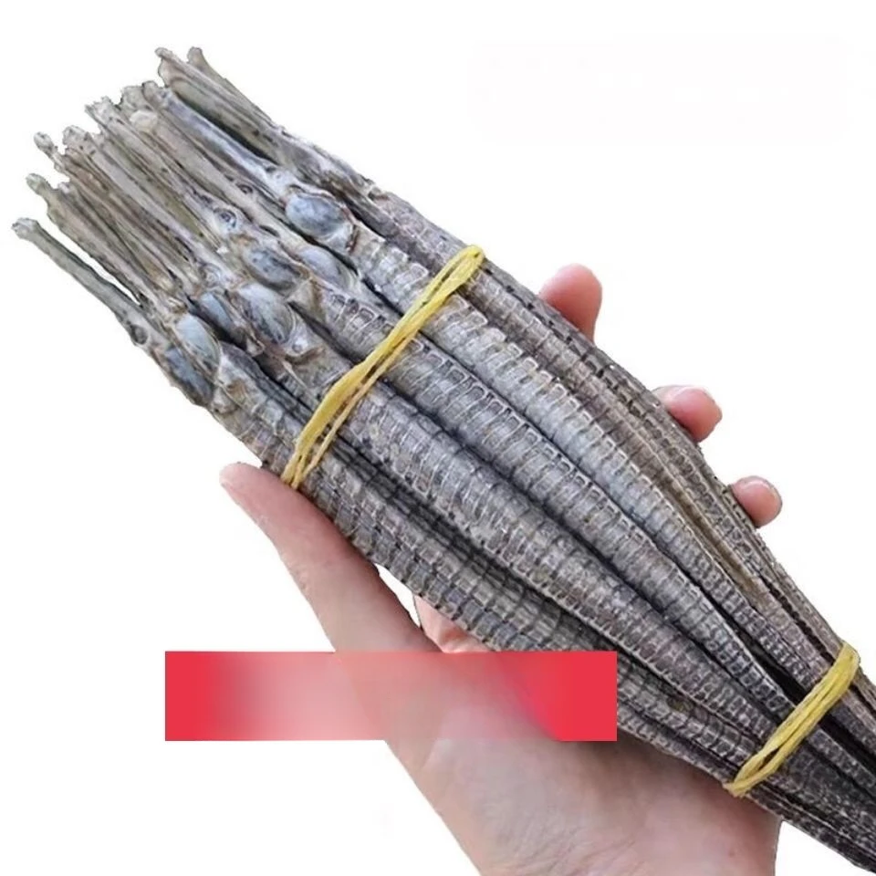 海龙正宗广东六角大海龙当季新货野生海龙搭配枸杞泡酒煲汤滋补料