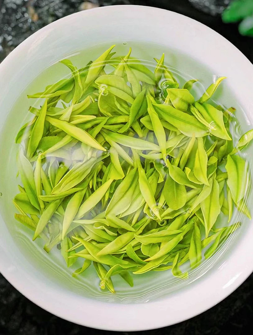 2024 高山熊猫白茶，，嫩香馥郁、鲜爽甘醇、兰花香，白茶毛峰