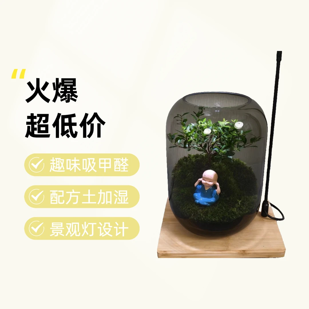 创意桌面微景观创意小和尚,带景观灯