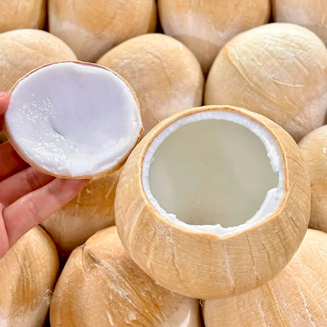 泰国老树椰皇鲜果 (4颗装)