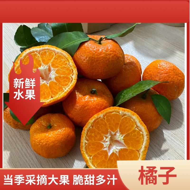 【橘子】皮薄易剥香甜颗粒爽口现摘现发采摘产品发货多汁健康