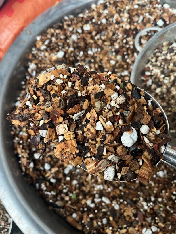 营养土5斤底土1斤面土