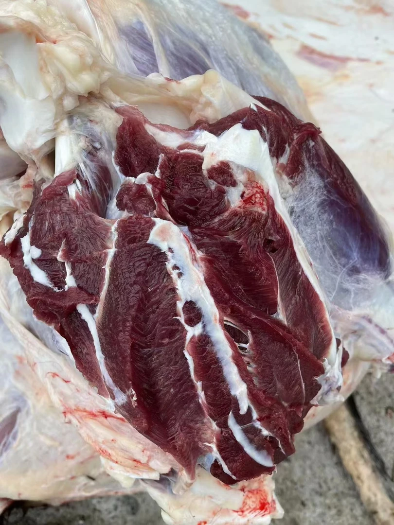 金寨大别山赤南商號本地老品种新鲜黄牛肉