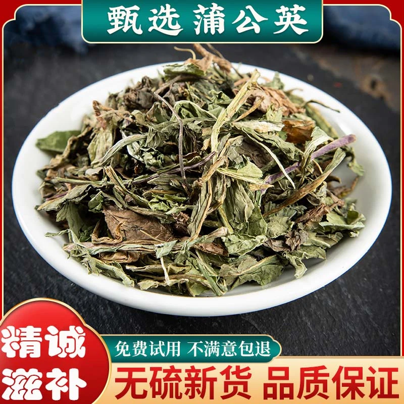 精选蒲公英250克甘肃产地自然生长