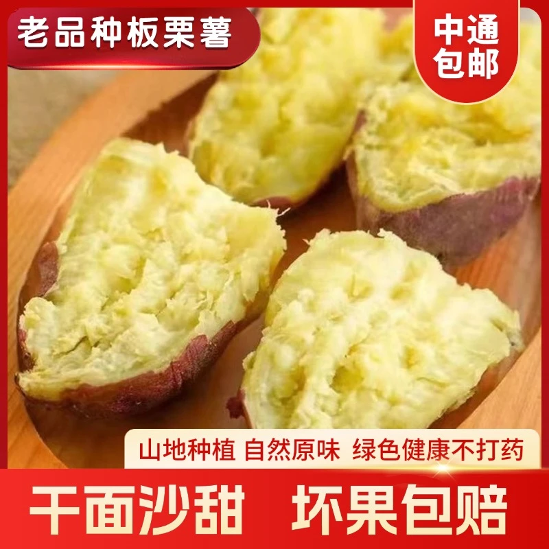 【益农红薯】胜利百号老品种红薯地瓜山芋番薯干面甜5斤中通包邮